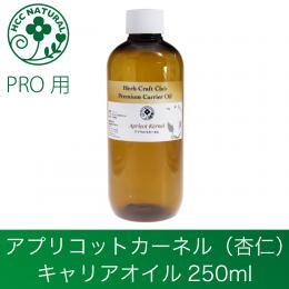 アプリコットカーネル 250ml プロ用　キャリアオイル　マッサージ　業務用