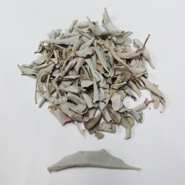 ホワイトセージ　細かい葉 100g  white sage small leaves