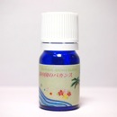 南の国のバカンス 5ml